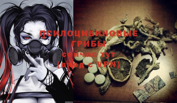 Альфа ПВП Алексин