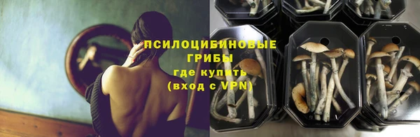 Альфа ПВП Алексин