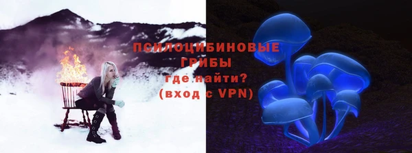каннабис Алексеевка