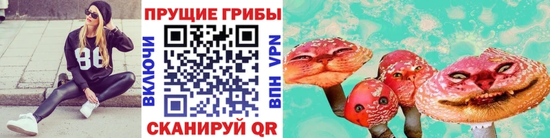 hydra ССЫЛКА  даркнет сайт  Краснодар  Галлюциногенные грибы Cubensis 