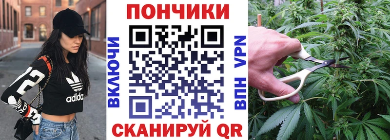 Бошки марихуана VHQ  omg как зайти  Краснодар  наркошоп 
